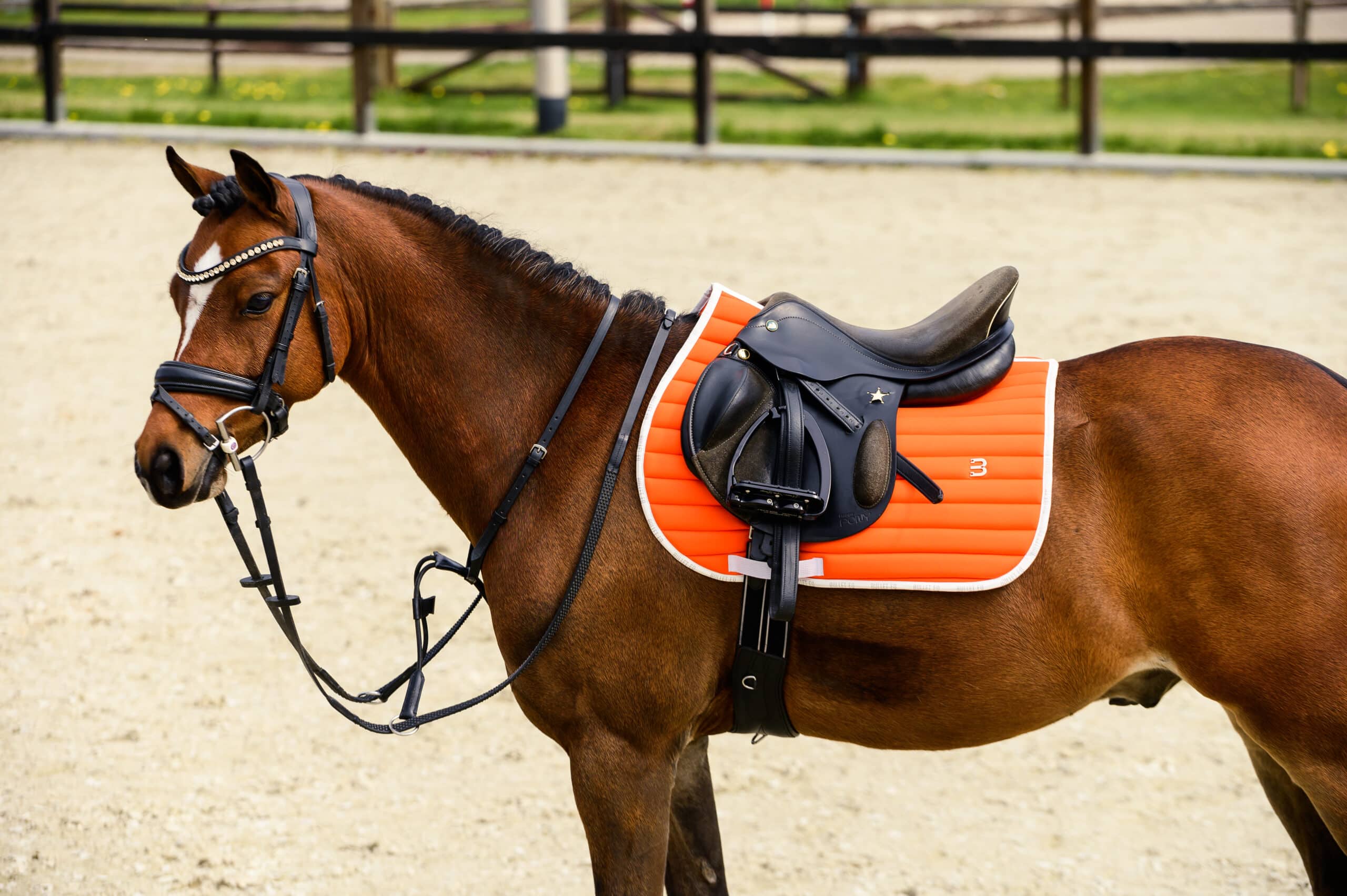 Zie insecten Aanpassen huurder Pony zadel | CW Saddles | Nº1 Kwaliteit voor je paard!
